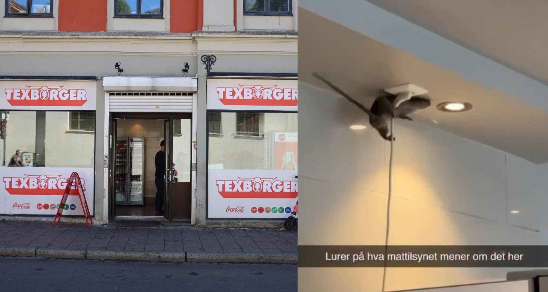 Rotter, Tex Burger | Sjappa er elsket av hele byen. Nå spres rotte-videoen på sosiale medier: – Kastet den ut med en gang