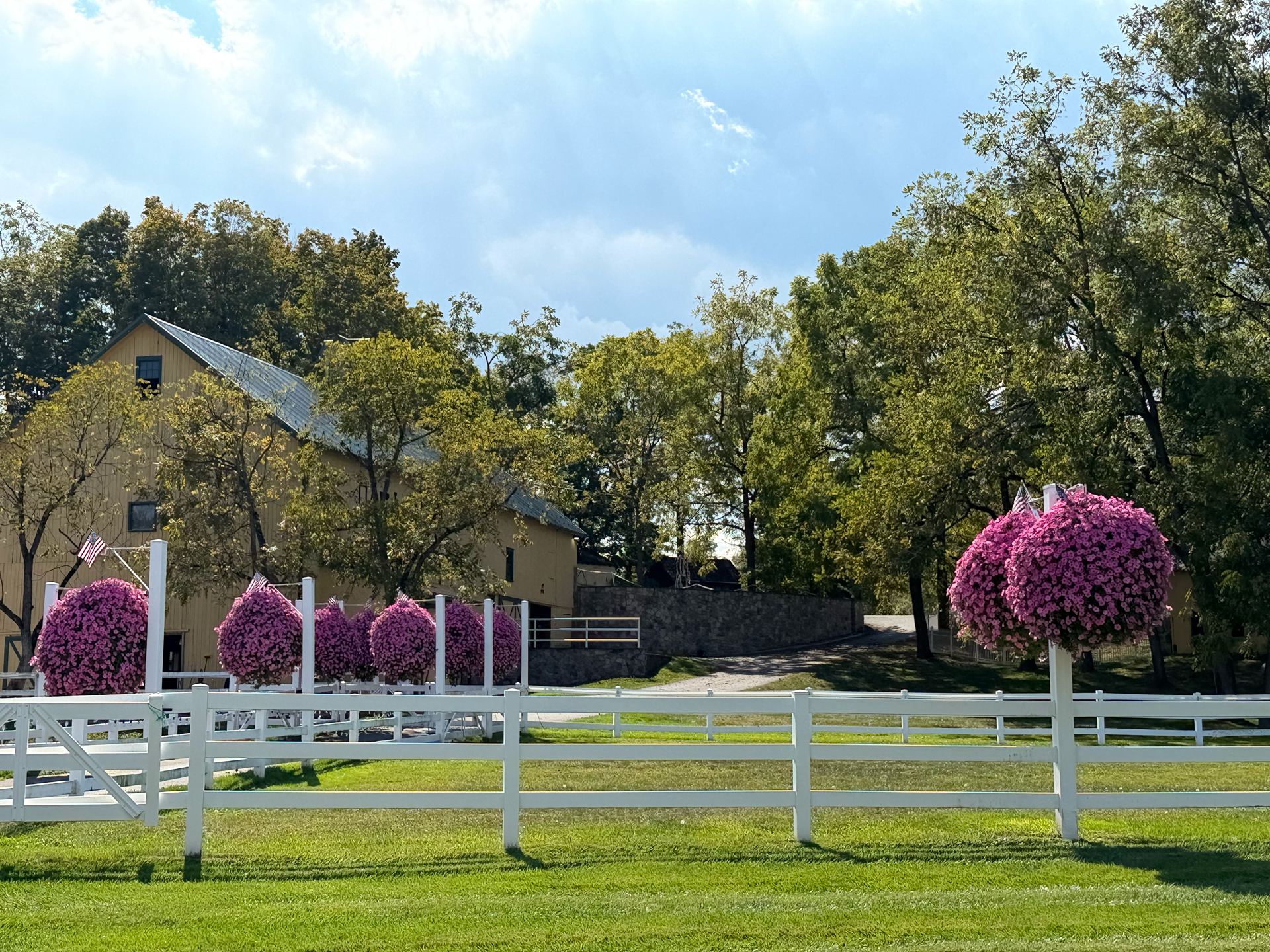 Apple iPhone 17 Pro – fotoeksempel