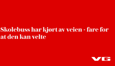 Skolebuss har kjørt av veien