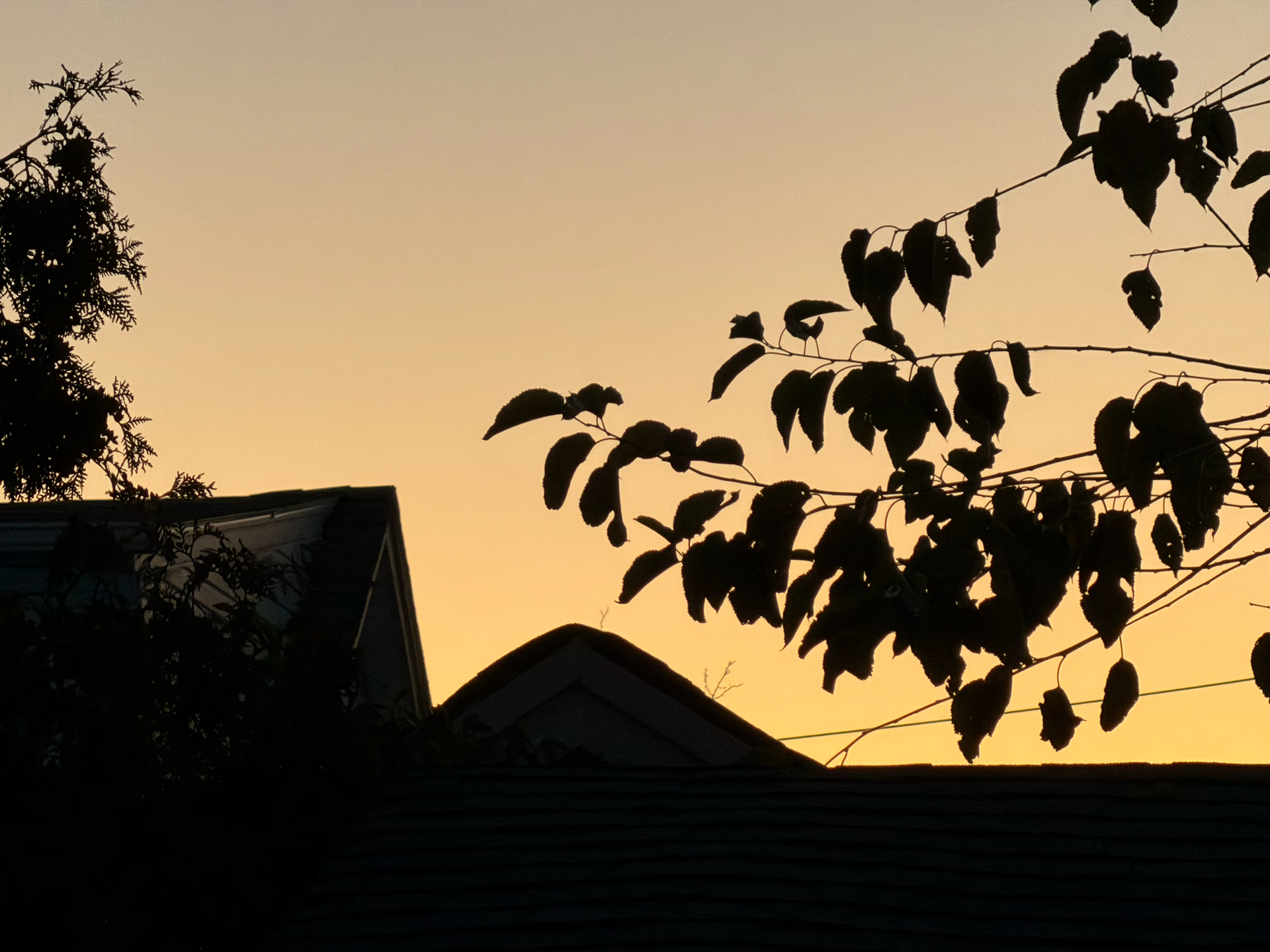 Apple iPhone 17 Pro – fotoeksempel