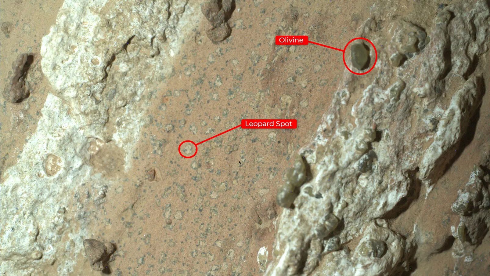 Bildet viser steinen Cheyava Falls på Mars som har flekker. Uthevet område i rødt viser flekker og en annen bergart: olivin.