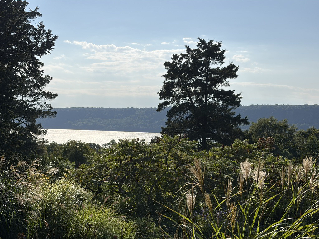 Apple iPhone Air – fotoeksempel