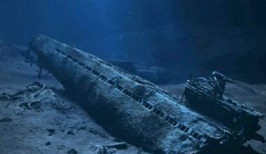 Nazi-ubåten, Innsyn | Forsvarsmateriells rapport om U-864 er nå offentlig