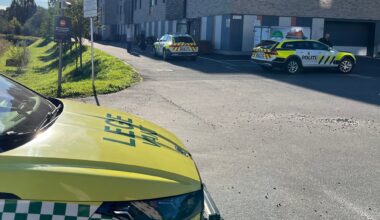 Vold, Politi | To pågrepet etter voldshendelse