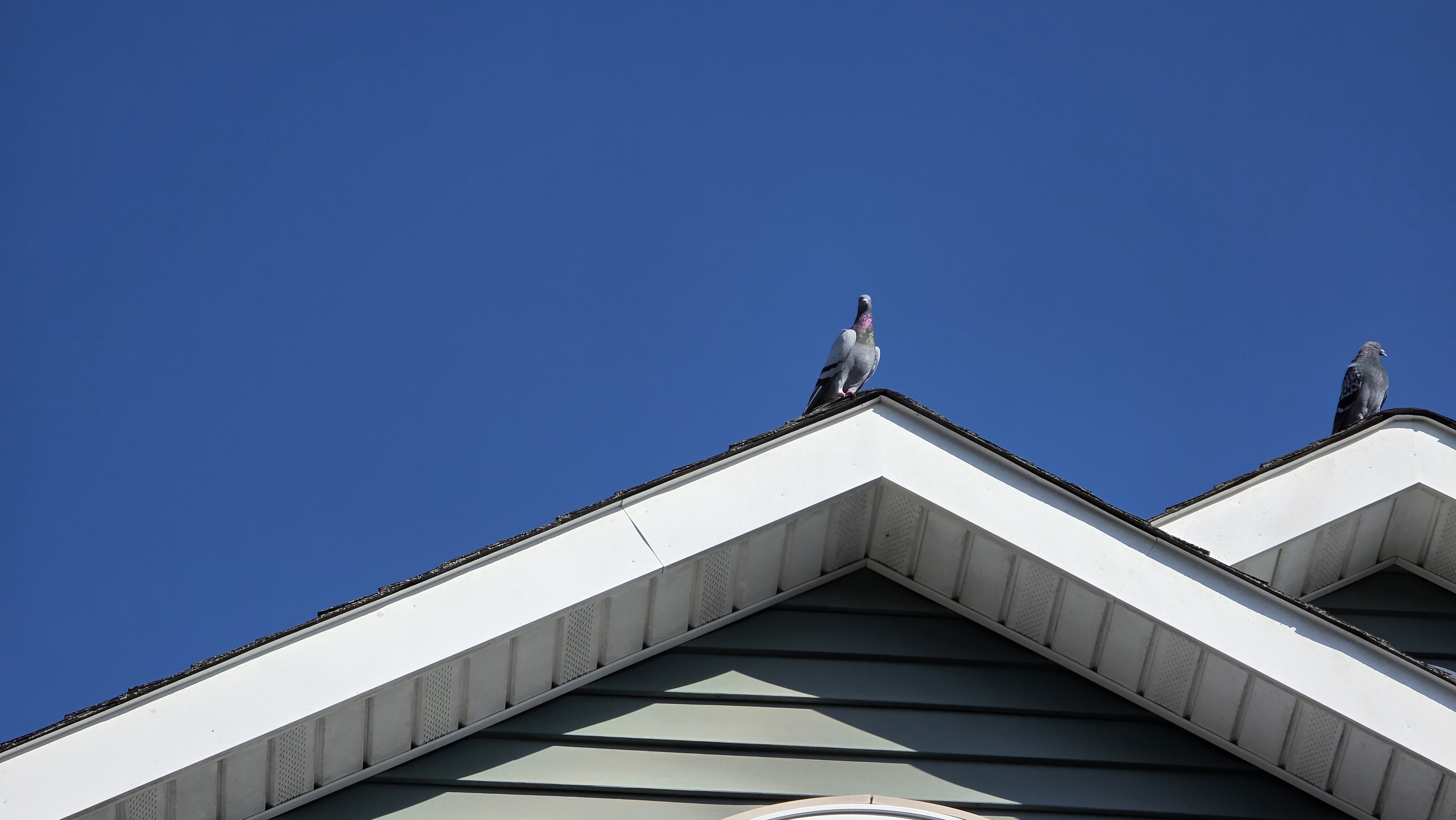 Apple iPhone 17 Pro Max vs Samsung Galaxy S25 Ultra