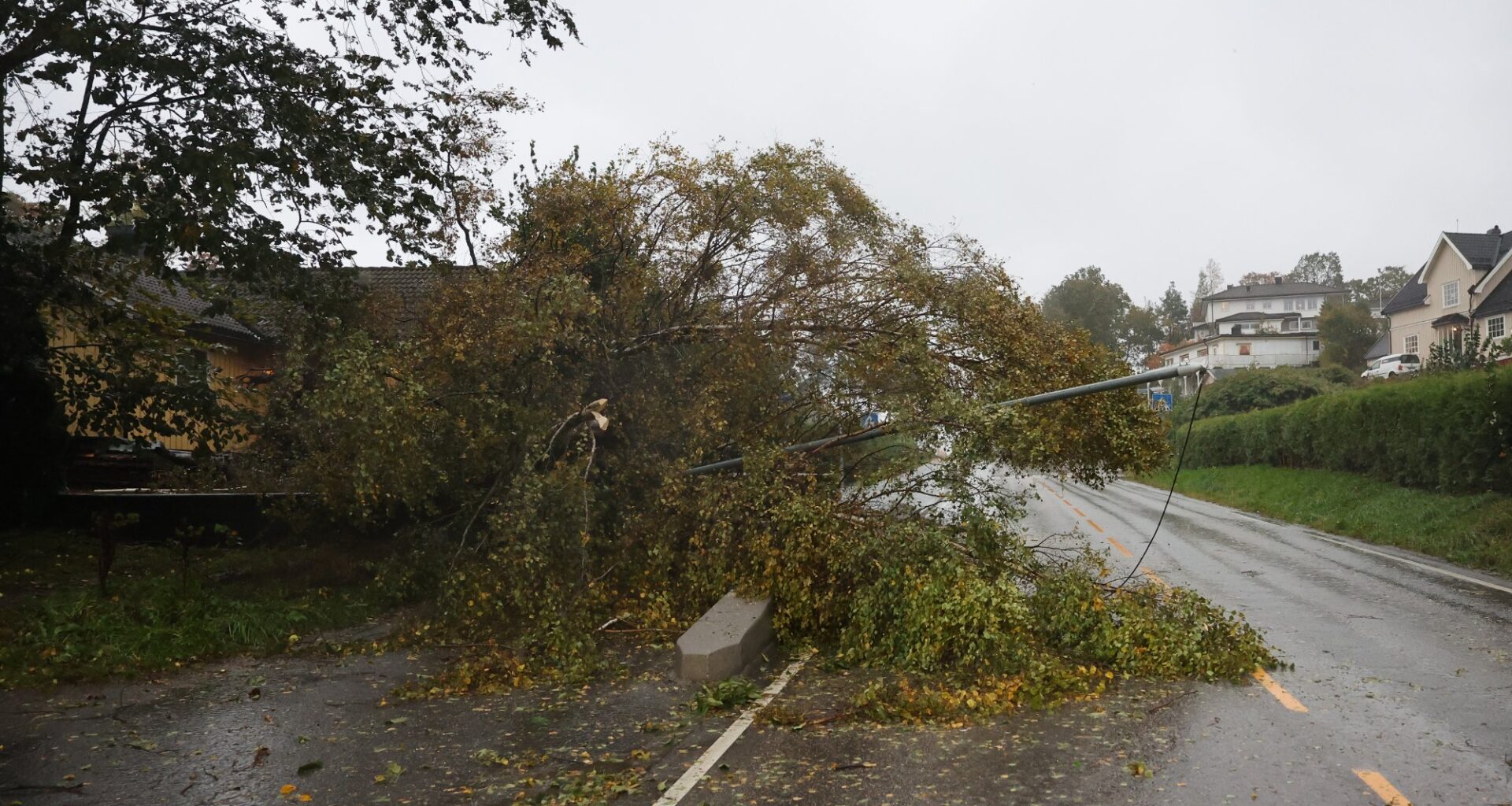 Nyheter, Vær | Stormen er her: Trær over veien – mange uten strøm