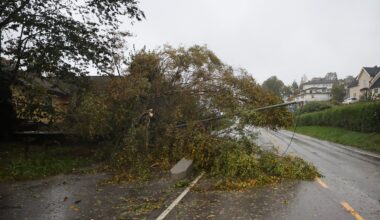 Nyheter, Vær | Stormen er her: Trær over veien – mange uten strøm