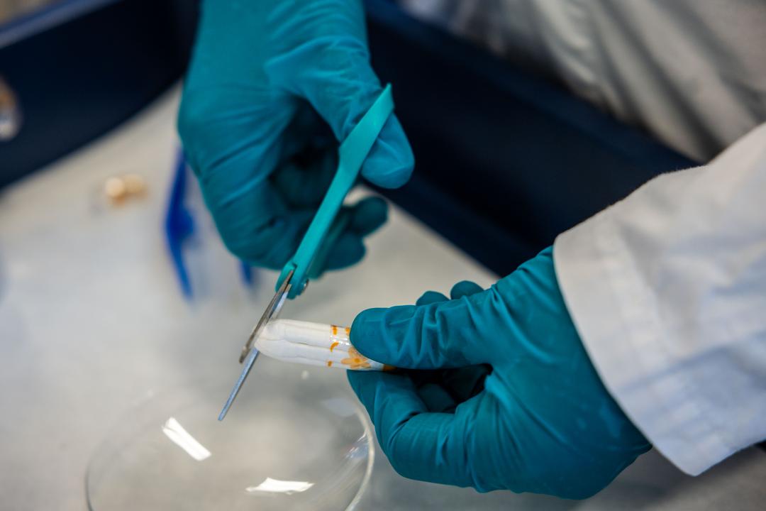 – Jenter så unge som tolv år bruker tamponger