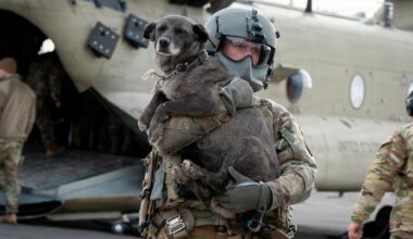 David Attenborough blir eldste Daytime Emmy-vinner noensinne