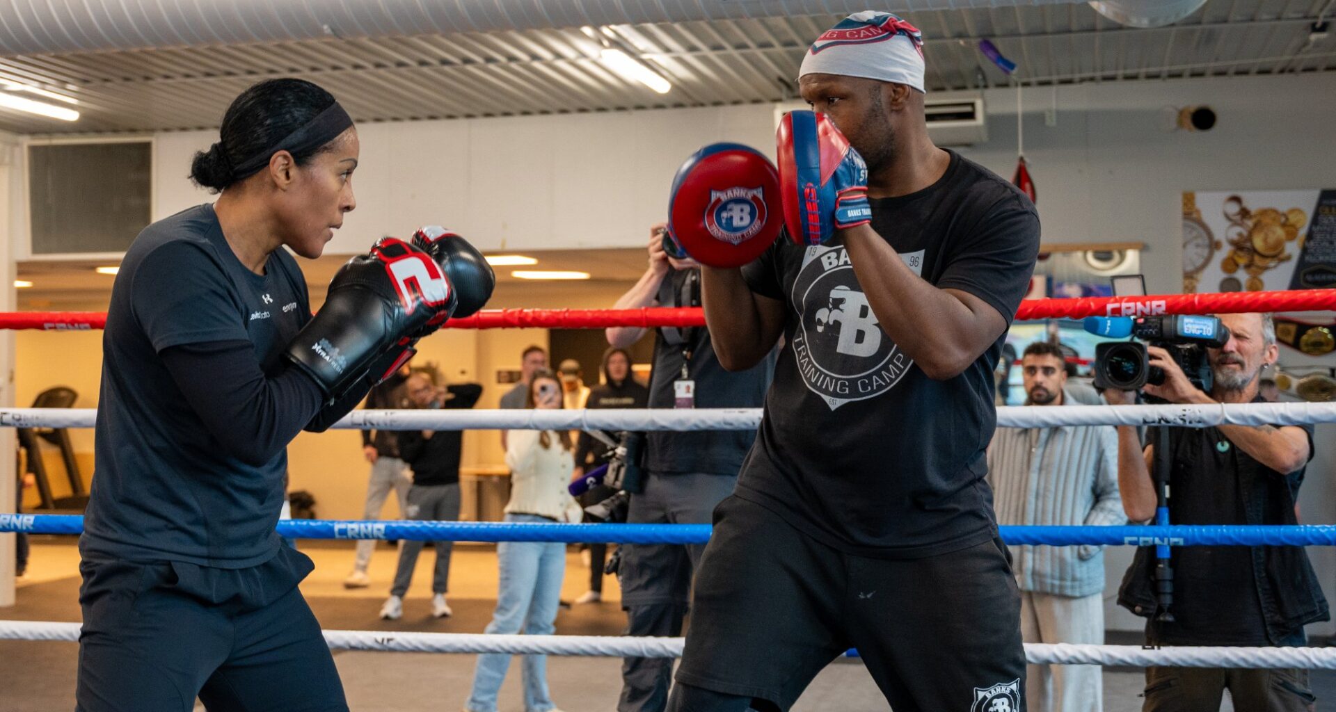 Cecilia Brækhus, Boksing | Brækhus fikk fart på damene i bokseklubben