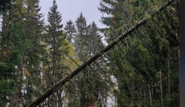 Vær, Elverum | Klar melding etter uværet: – Det er meget farlig!