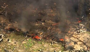 Bilde av Live Tronstad