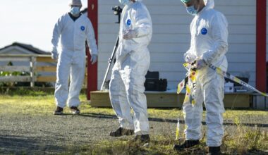 Krim, Drap | Politiet etterlyser tips i drapssaken i Alver