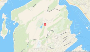 Løp rundt med motorsag og skremte folk