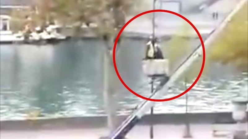 Bilde av Bernhard Moe Nyquist