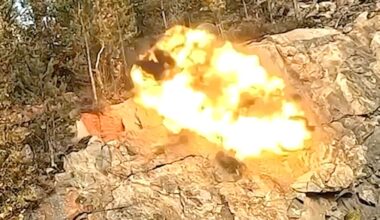 Bilde av Stella Bugge