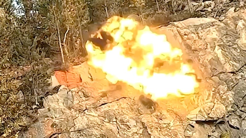 Bilde av Stella Bugge