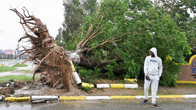 Bilde av Kari Aarstad Aase