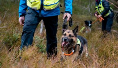 Frivillig redningstjeneste skuffet over statsbudsjettet