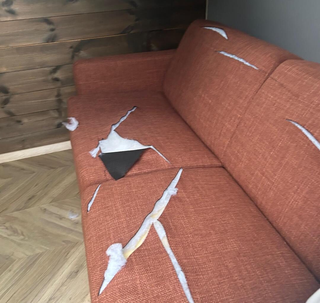 Tolv boenheter rasert i massivt hærverk