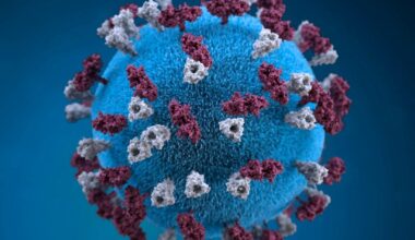 Prematur baby døde av meslinger i Canada