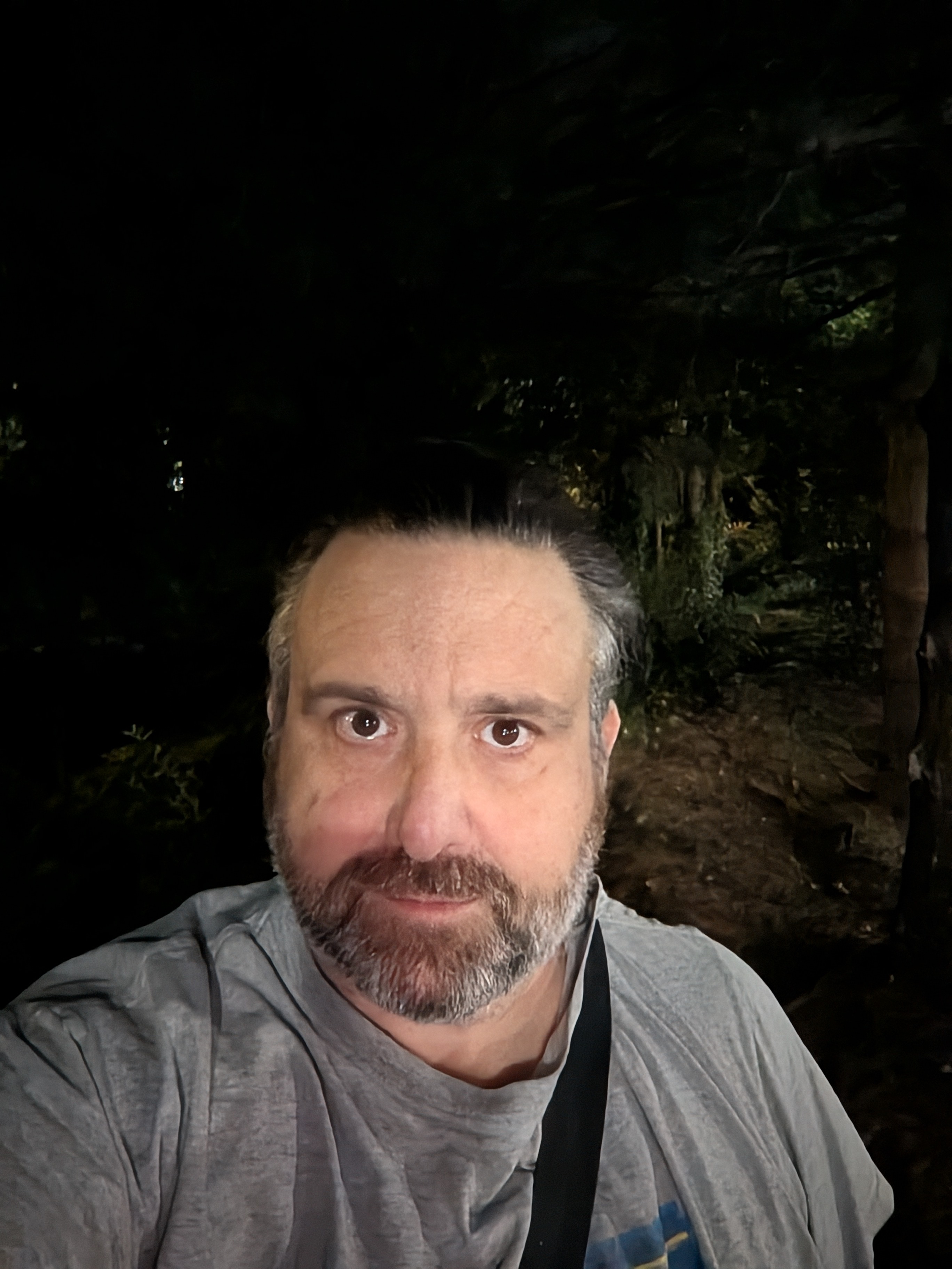 Fotoeksempler tatt med Pixel 10 Pro og Pixel 10 Pro XL.