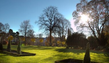 Nyheter, Været | Nyt finværet denne helga – snart snur det