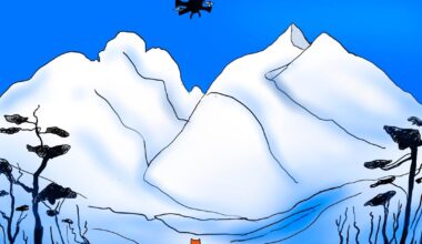 Meninger: Mer åpenhet, Støre