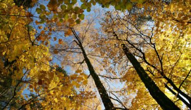 Været, Høst | Opp mot 18 grader: – Unormalt varmt