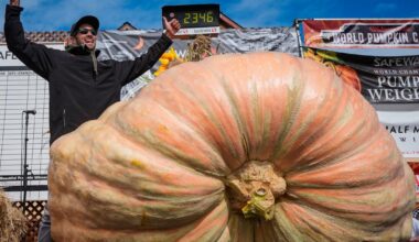 Dette gresskaret veier over ett tonn