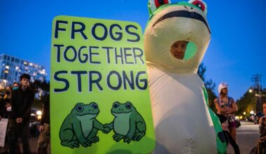 Portland-demonstranter bruker oppblåsbare kostymer for å roe ned protester