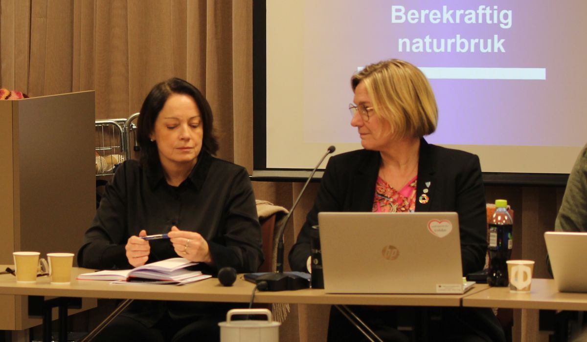 No sig alvoret inn - morenytt.no