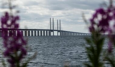 50 havnet i Sverige ved et uhell