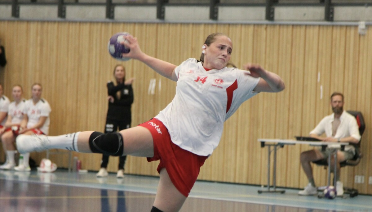 De beste spillerne i 1.-2. divisjon