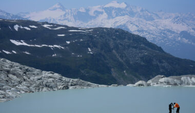 Slår alarm: - Nok en gang enorm