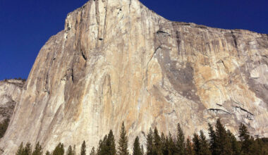- Hjertet mitt er knust
