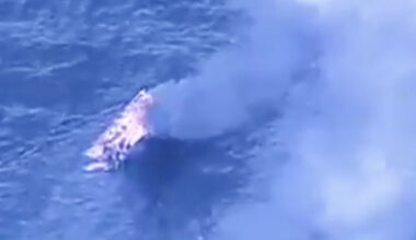 - Vil fortsette - Dagbladet