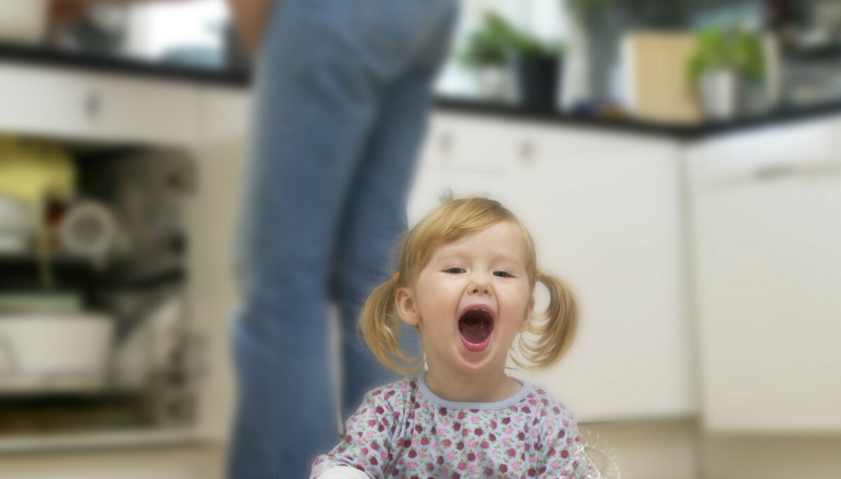 Ber om grep mot nabostøy