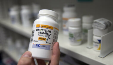 WHO med første tall