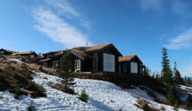 Mystisk kjøper avslørt