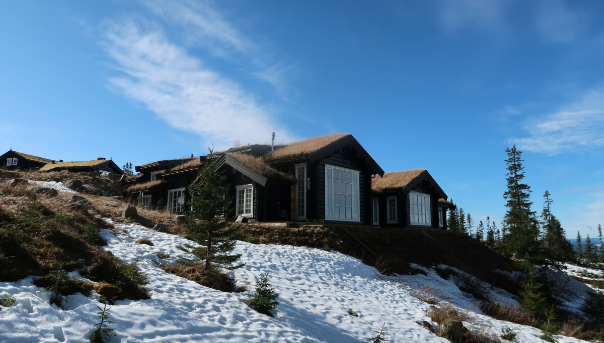 Mystisk kjøper avslørt