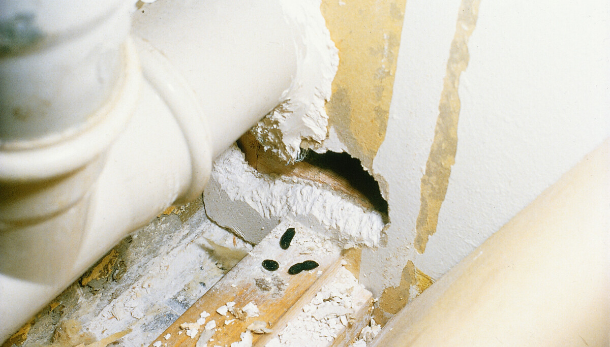 31 prosent økning i 2024