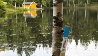 - Familien lurer fælt