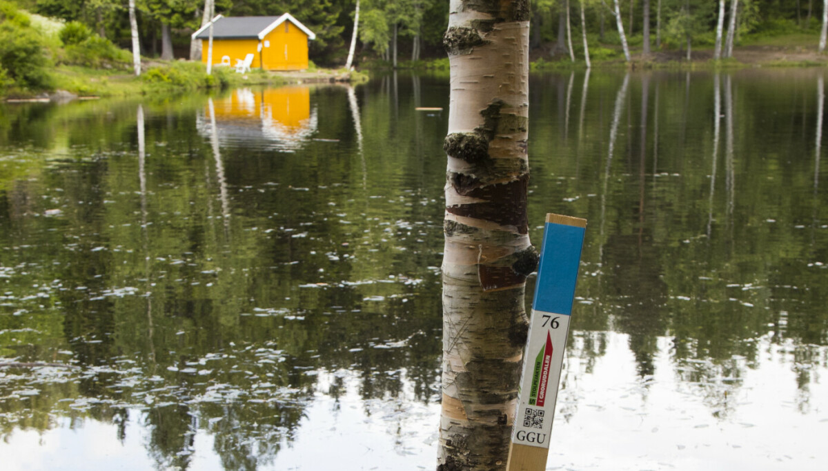 - Familien lurer fælt