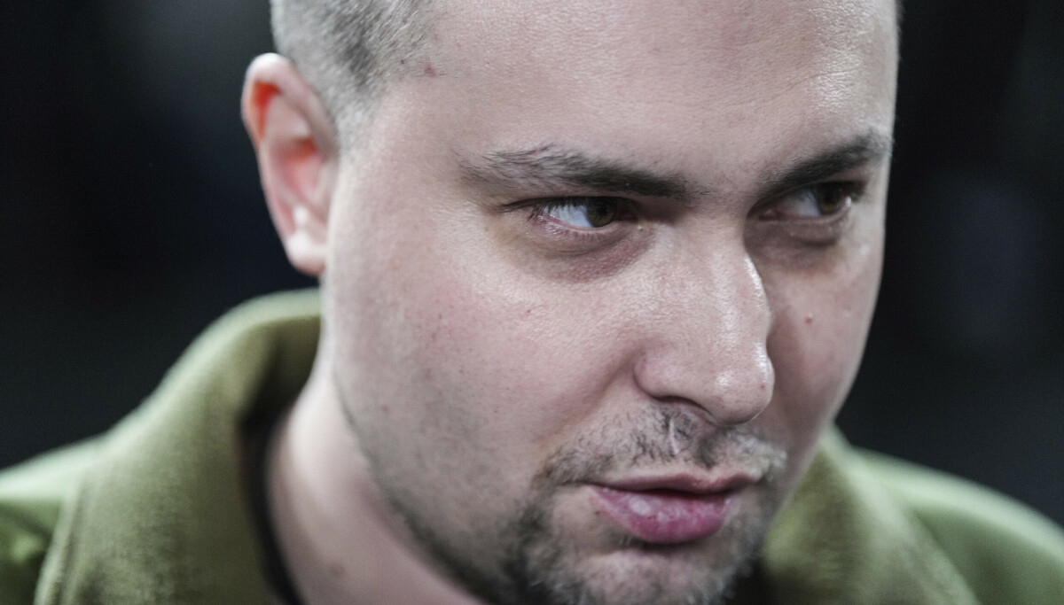 Russland kunne vært beseiret uten alliert støtte