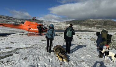 Hunden Vilma måtte avlives på fjellet: Dramatiske timer