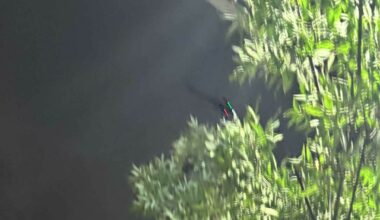 Helikoptrene flyr rett over oss