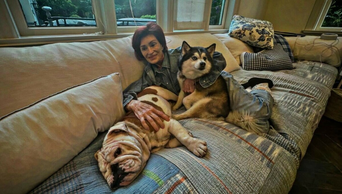 Tar farvel med hunden Elvis etter 14 år