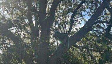 FBI slår alarm: Oppdaget jakttårn