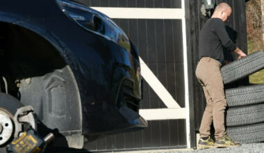 Tyvene er frekke og raske